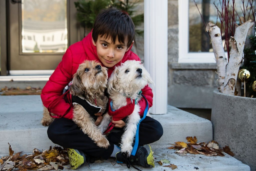 The Surprising Side of Yorkies