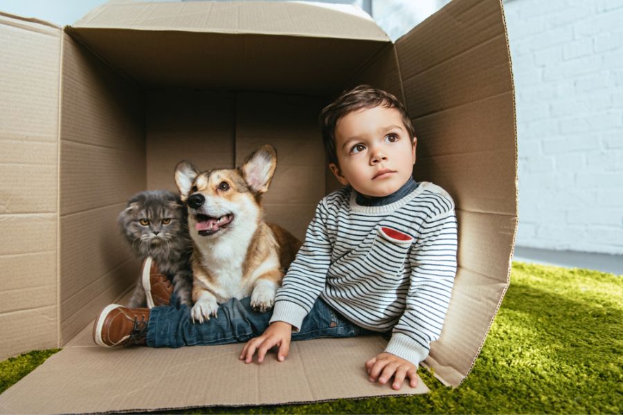 Bonding is a positive trait, it can also make them more reliant on their owners