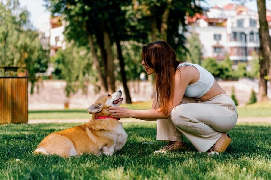 Positive reinforcement training