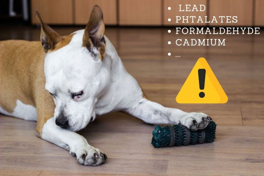 Some harmful chemicals that can be found in dog toys