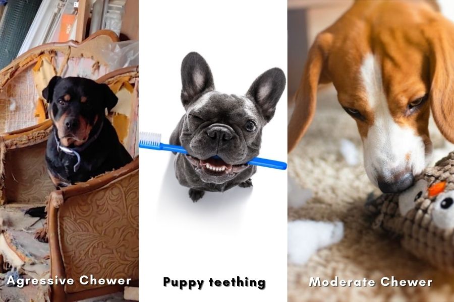 Whether your dog is a middling chewer or a strong chewer