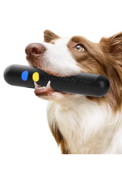 goughnut stick: best dog toys for nibblers