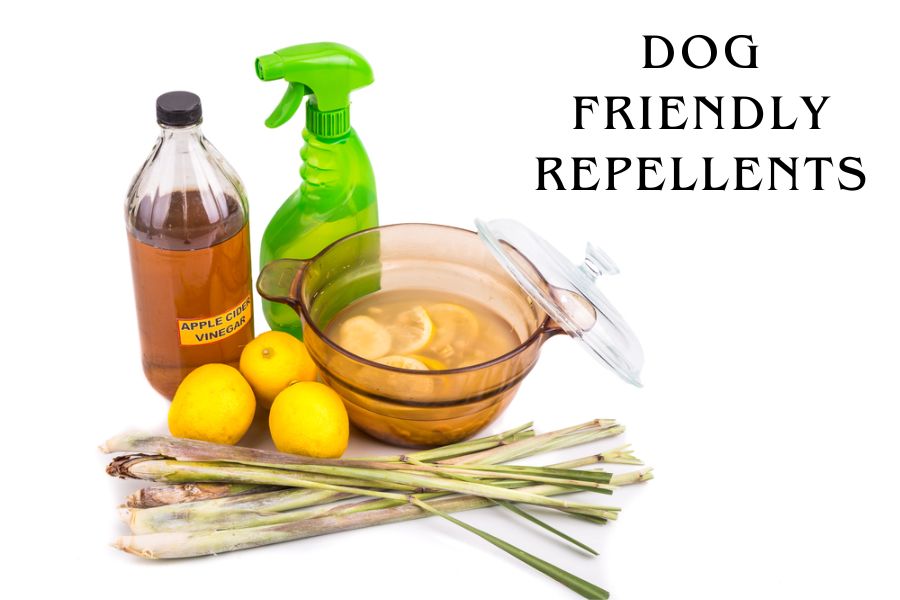 Dog-Friendly Repellents