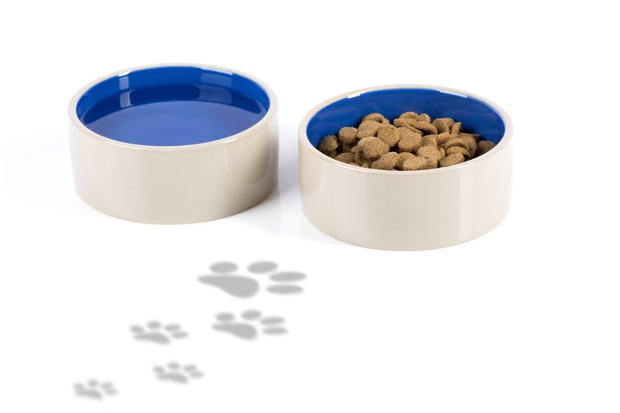 Food and Water Bowls