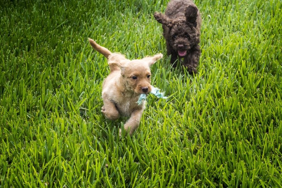 Outdoor Training and Bonding