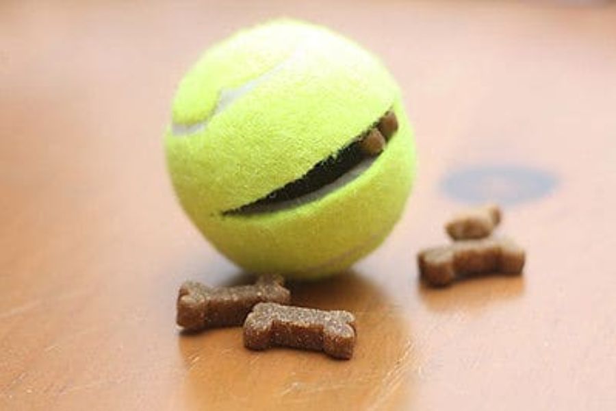 Tennis Ball Treat Puzzle