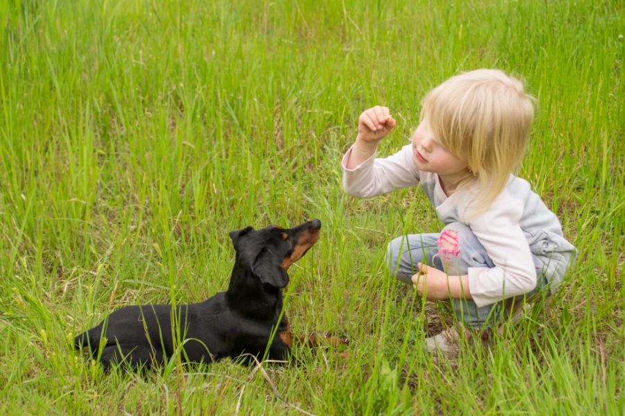 They can be good friends for any child