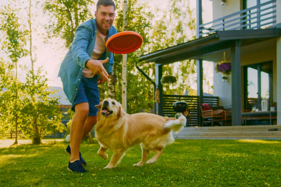 A dog can help you get out of any bad mood fast