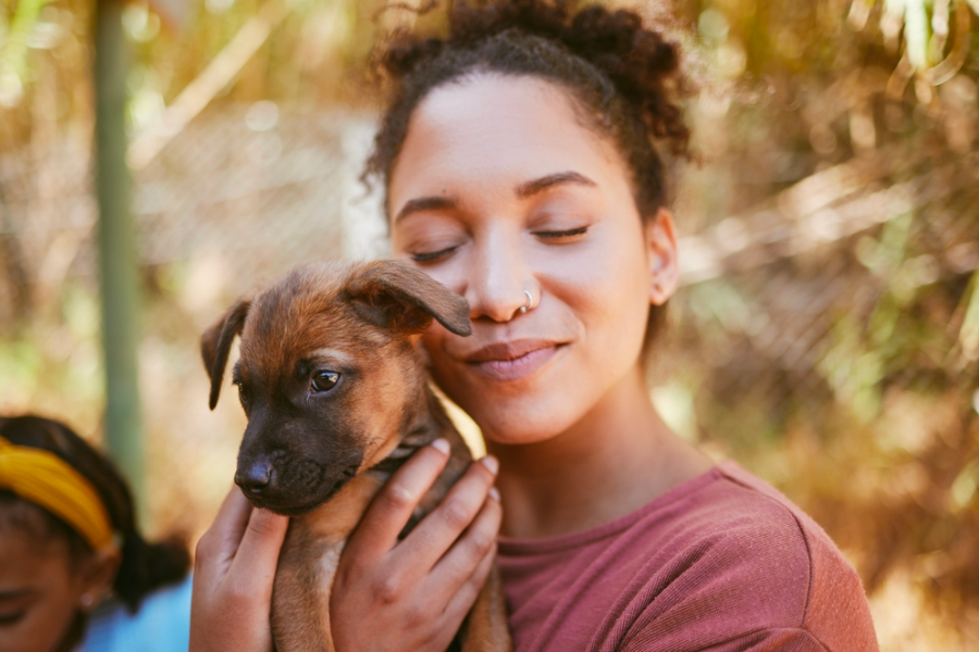 Treat your pet like a family