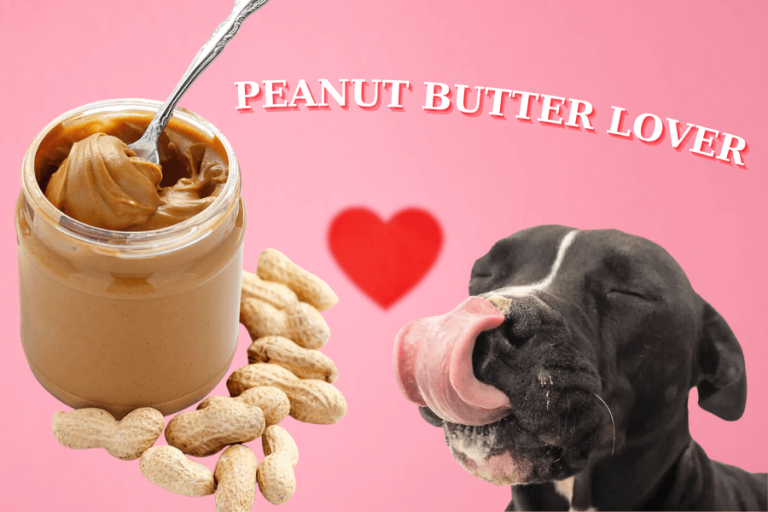 Why are dogs obsessed with peanut butter?