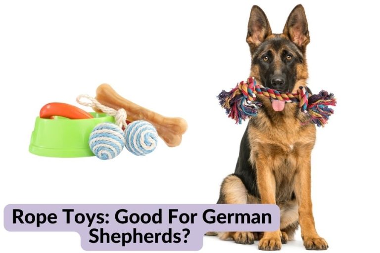 Are Rope Toys Good For German Shepherds