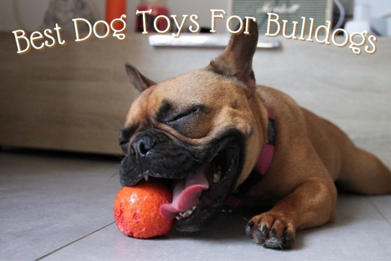 Best Dog Toys For Bulldogs
