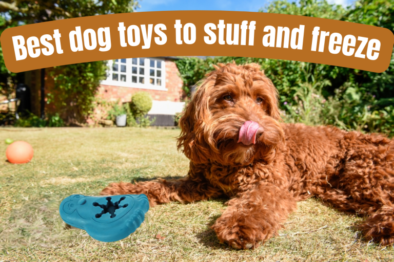 Best dog toys to stuff and freeze