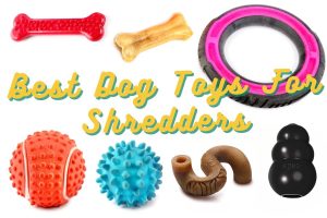 best dog toys for nibblers