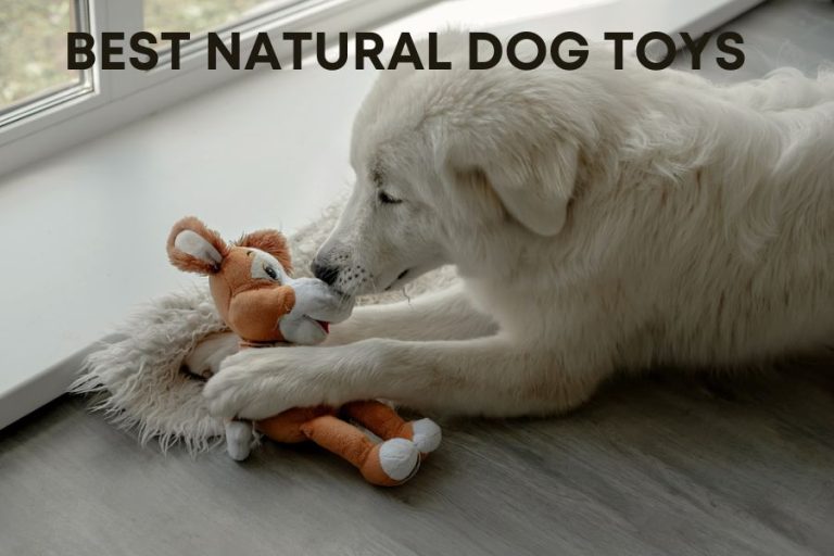 The 8 Best Natural Dog Toys in 2023 Eco-Friendly Gem