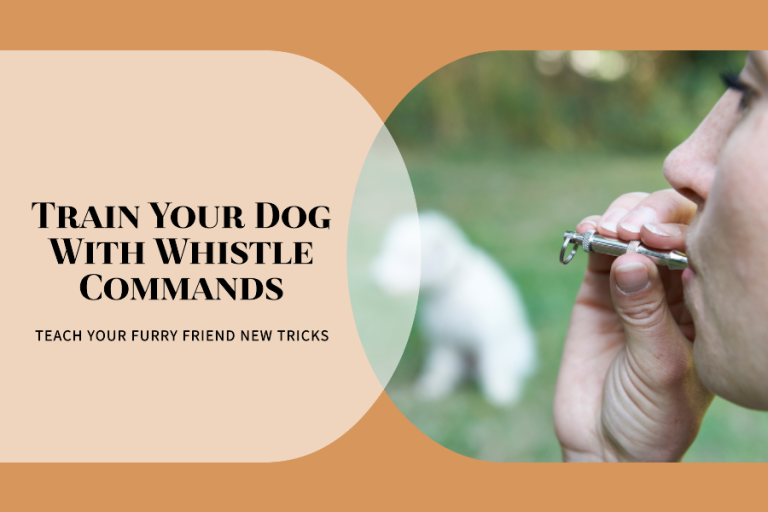 Dog Whistle Training Command