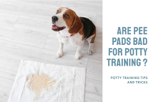 Are Pee Pads Bad for Potty Training