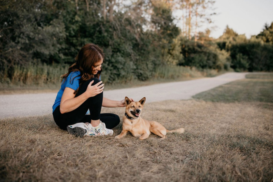 How To Use an E-collar ? (5 Step-by-step guide )