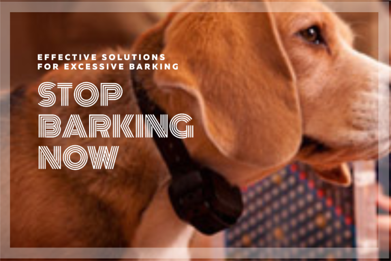 Do Shock Collars Work For Barking
