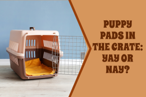 Should I Put a Puppy Pad in the Crate (1)